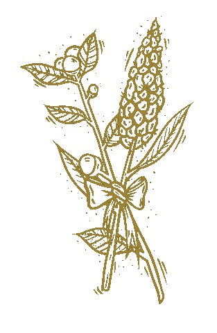 Illustration Sticker