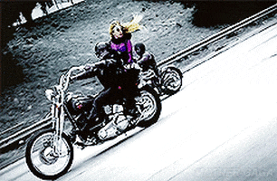 lady gaga GIF