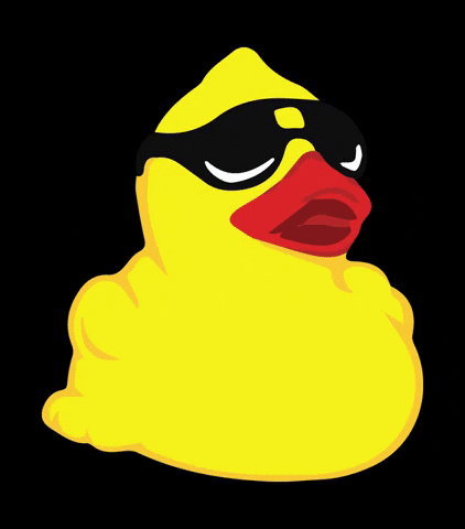 Duck Race GIFs - Get the best GIF on GIPHY