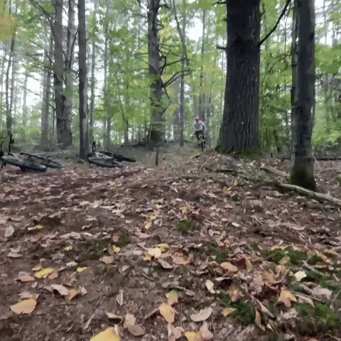 Mtb Case GIF