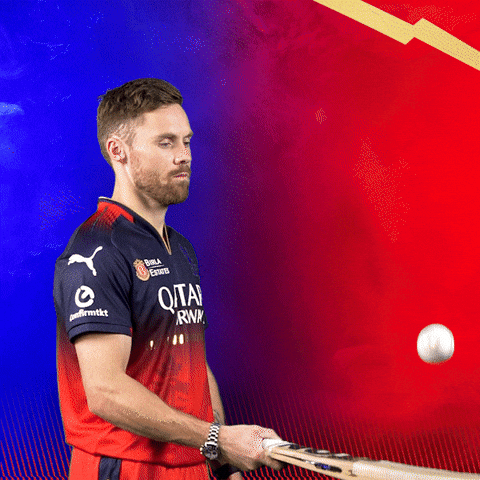 Happy Phil Salt GIF by Royal Challengers Bengaluru