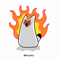Angry Cat GIF by Kennymays