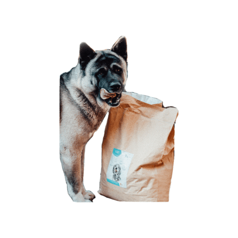 Sticker by Wüfkün Mascotas