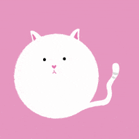 200.gif?cid=fc005b08dda5f70eebb84238cc1dd108b1dfd1e6998dd314&rid=200.gif&ct=g