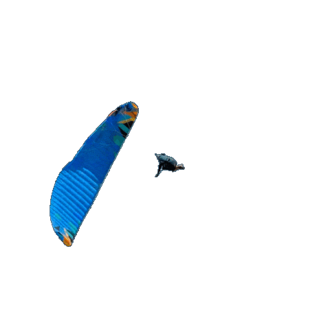 Sat Paragliding Sticker by BGD