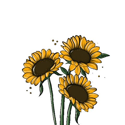 Flower Flores Sticker for iOS & Android | GIPHY