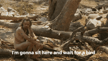 Discovery Channel Wait GIF by Discovery