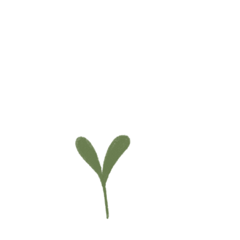 Plant Love Sticker