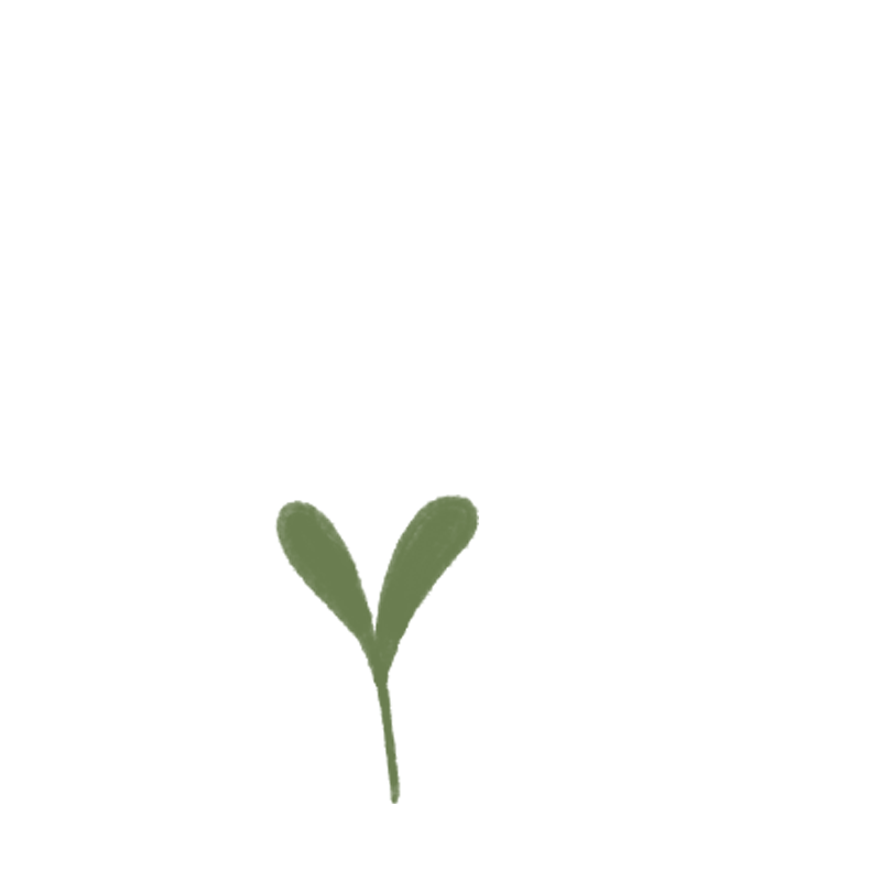 plant growing