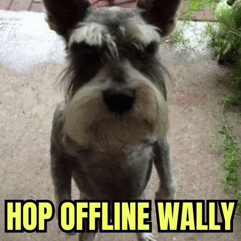 Dog Wally GIF