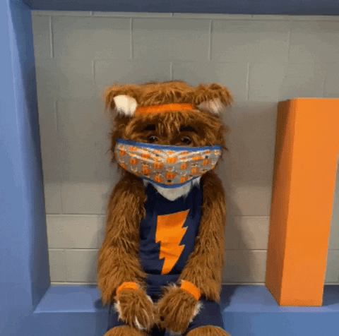 Fox Foxes GIF by Forest Hill Elementary