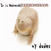 200.gif?cid=fc005b0849e9b2c648c23bc29274b71f2b48ba5198bd691f&rid=200.gif&ct=g