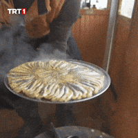 trt-network-animals-al-balik-QUad933vfwZ0ZgC05z