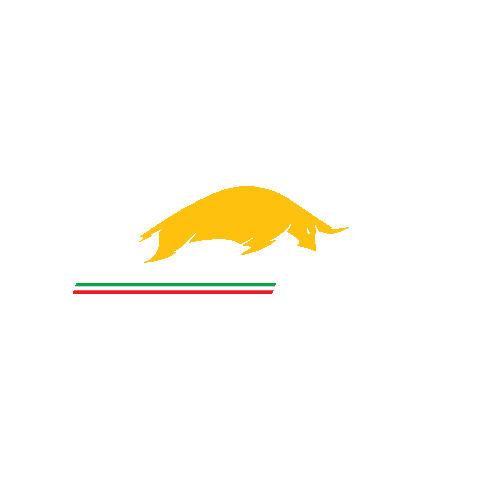 Lamborghini Club Houston Sticker