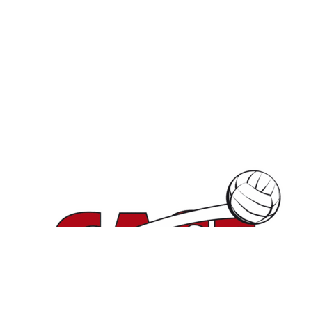 Case Volley Sticker