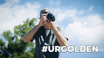 GIF by You're Golden