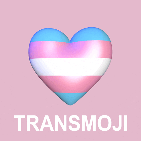 Trans Day Of Visibility Pride GIF by INTO ACTION