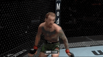 Sport Basketball GIF by UFC