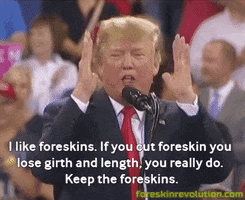 Donald Trump GIF by Foreskin Revolution