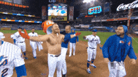 Baseball GIFs on X: Pete Alonso getting hit in the face by a foul ball.   / X