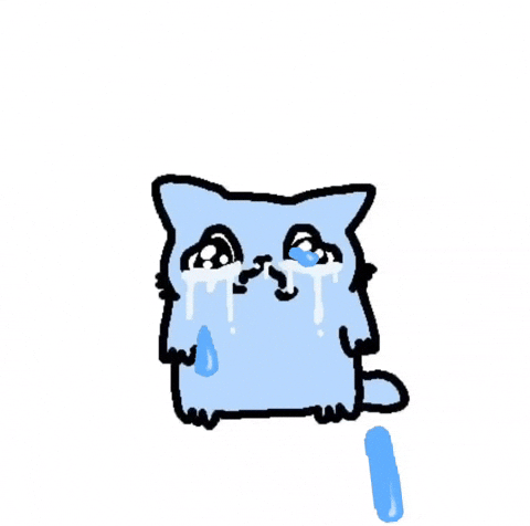 Sad Cat GIF