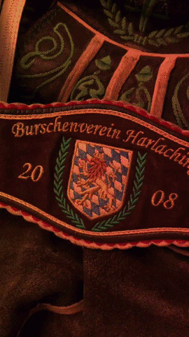 Bvh GIF by BV-Harlaching