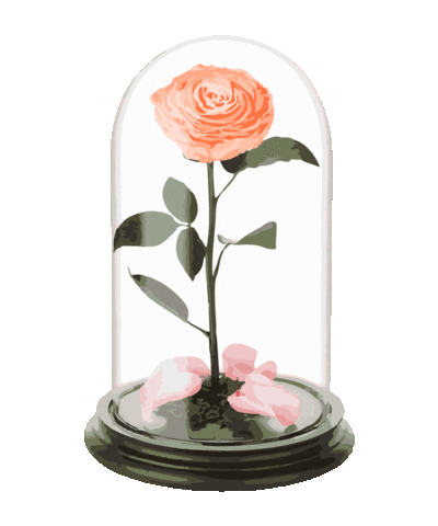 Roses Infinity Sticker by Oneroze