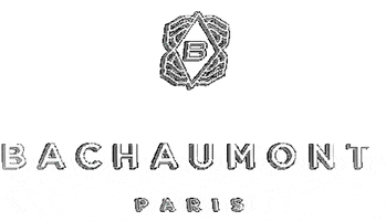 hotelbachaumont GIF