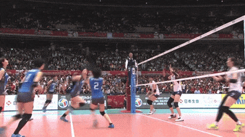 Down The Line Japan GIF by Volleyball World