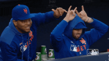 hang loose ny mets GIF by New York Mets