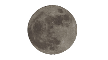 Sexy Lgbt Sticker by Skirt Club