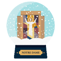 Notre Dame Snow Sticker by University of Notre Dame