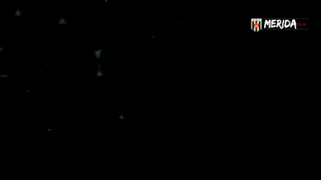 ADMERIDASAD GIF