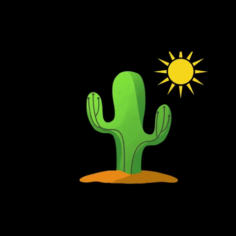 CactosSE GIF