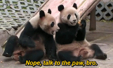 giphy.gif?cid=8fc3c8975ce580a22e3875666b6deb26&rid=giphy.gif