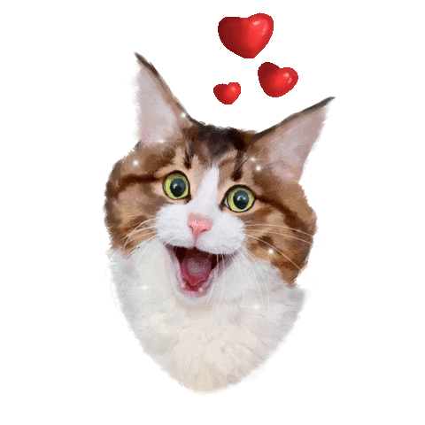 Cat Sticker
