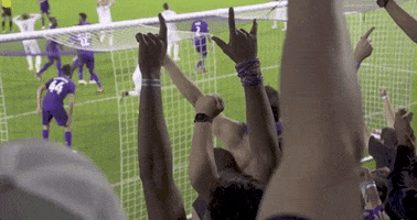 Fans Support GIF by Orlando City SC
