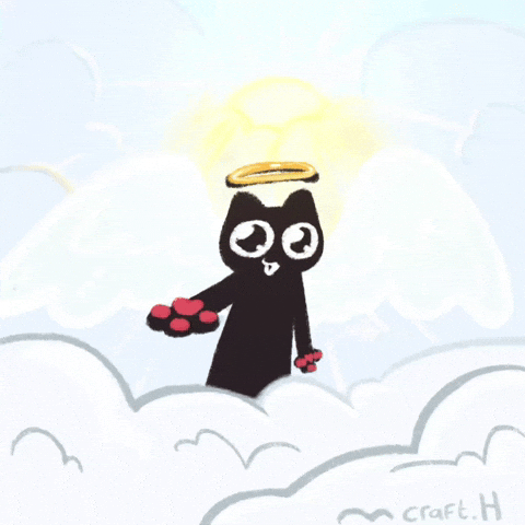 Cat Cig GIF