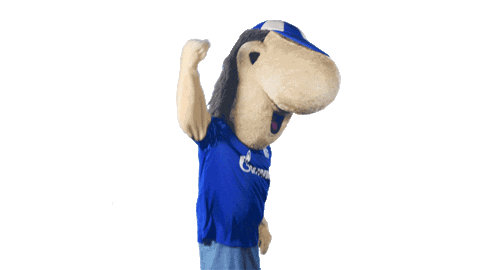 Happy German Soccer Sticker By Fc Schalke 04 For Ios Android Giphy