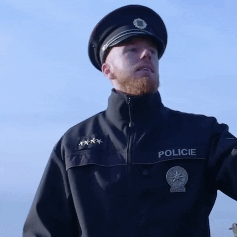 PolicieCZ police crime policie policiecz GIF