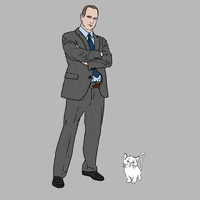 Taylor Swift Cat GIF by gifnews