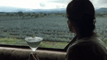 janethochoa  GIF