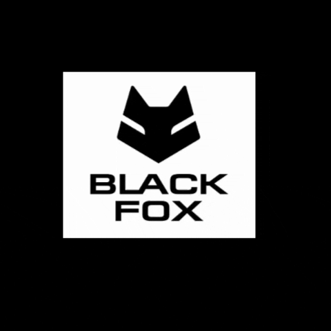 BlackFoxMotors blf black fox GIF