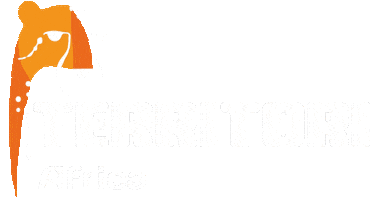 Africa Safari Sticker by Territori