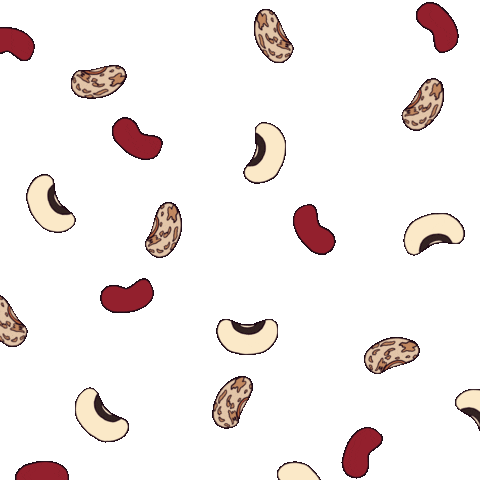 Bean Raining Sticker