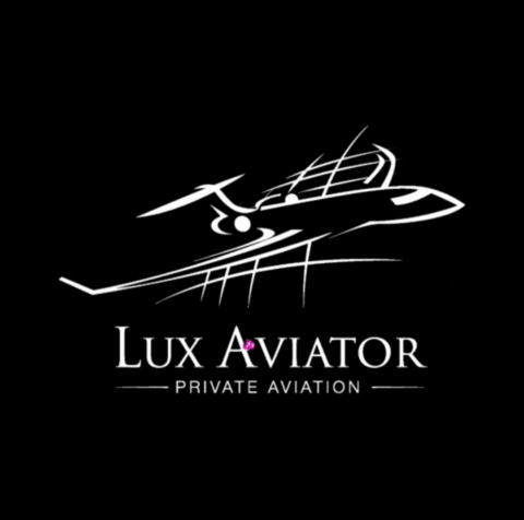 Plane GIF by Lux-Aviator