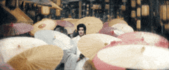 Mycocy87 GIF