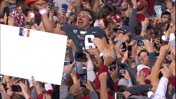 Washington State Wsu GIF by Pac12Network