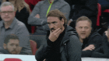 Daniel Farke GIF by Norwich City Football Club
