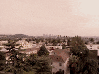 200w.gif